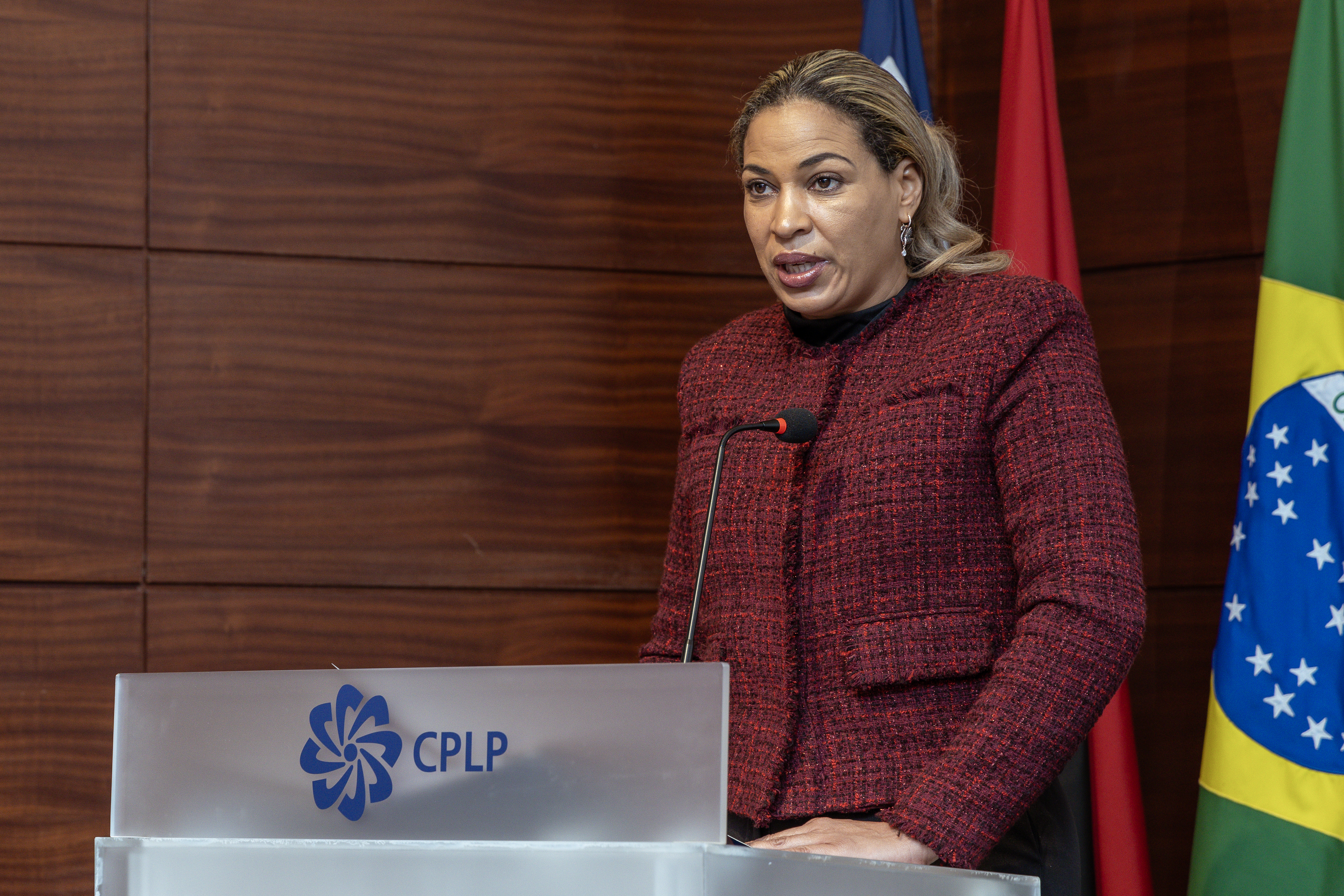 I Encontro Das Agências De Financiamento Da Ciência E Estruturas Congéneres Dos Estados Membros Da CPLP – Dia 2 32